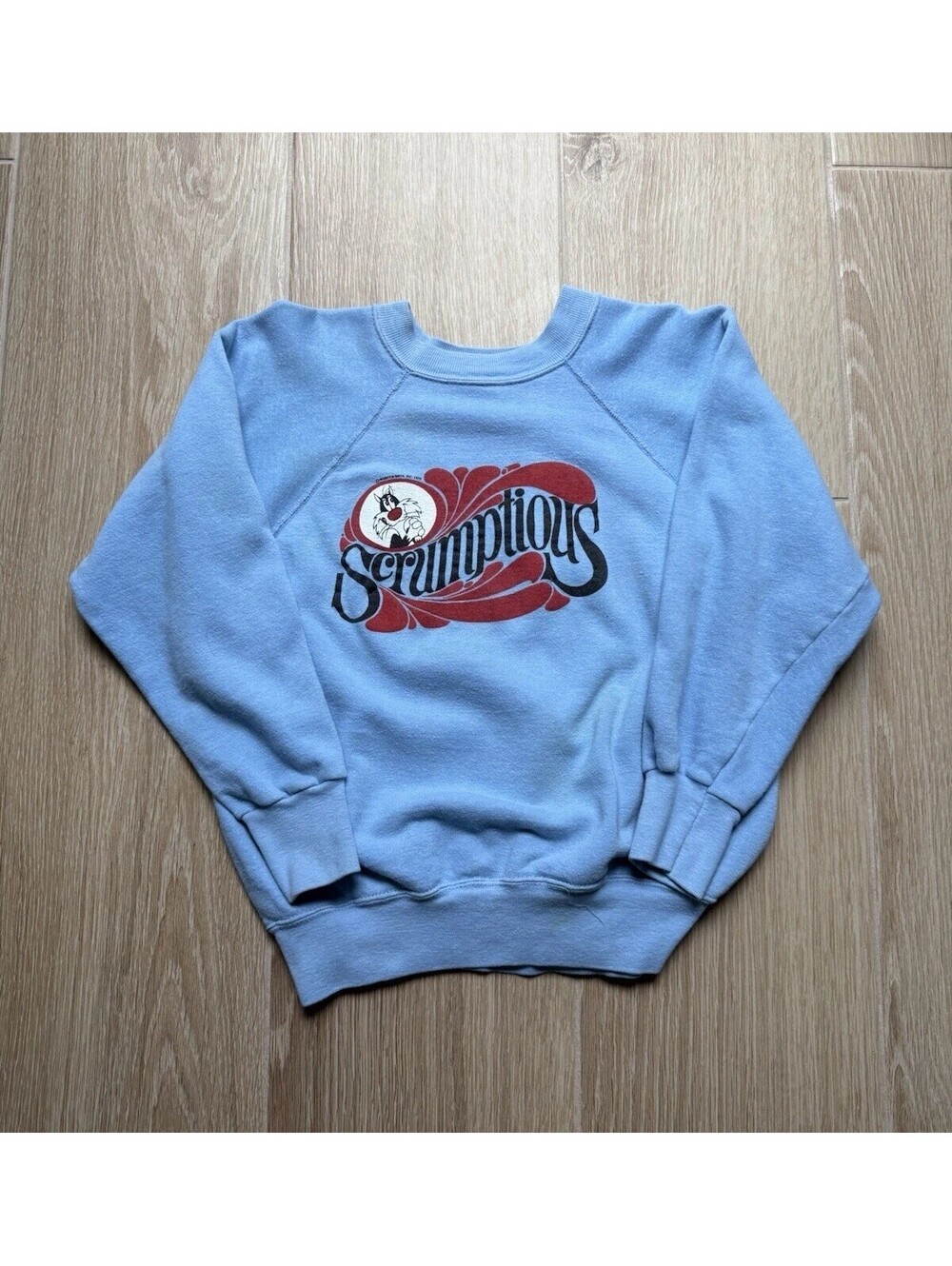Vintage 70s Champion Blue Bar Scrumptious Warner Bros Sweatshirt Adult Size M